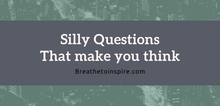 Silly questions that make you think 500 Questions that make you think