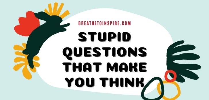 Stupid questions that make you think 500 Questions that make you think