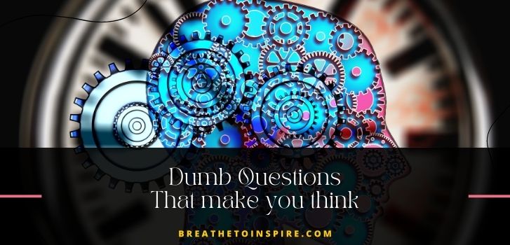 dumb-questions-that-make-you-think