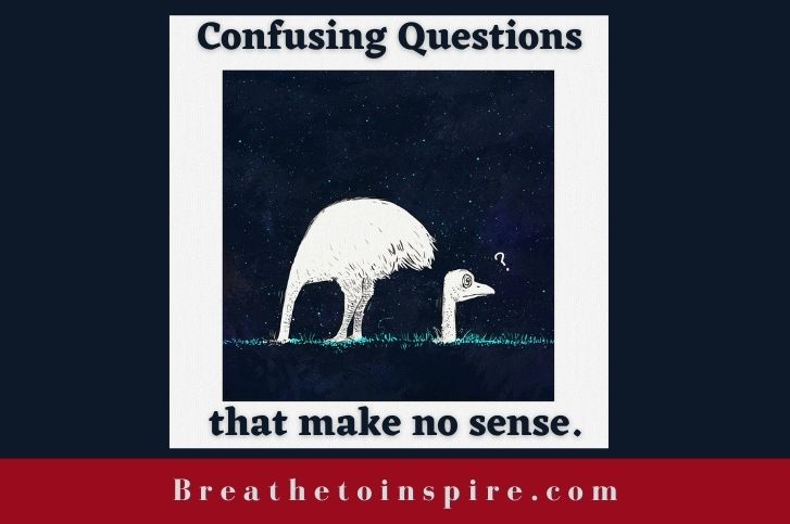 confusing-questions-that-make-no-sense