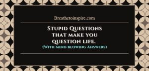 30 Stupid Questions That Make You Think With Answers (Funny & Dumb ...