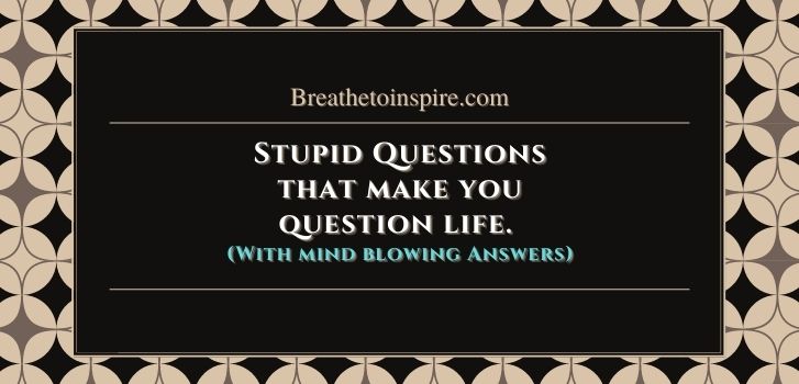 Stupid Questions that make you question life 30 Stupid questions that make you think with answers (Funny & Dumb)