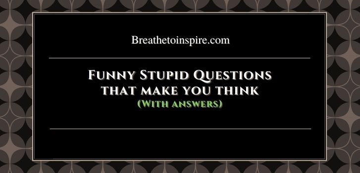funny stupid Questions that make you think 30 Stupid questions that make you think with answers (Funny & Dumb)