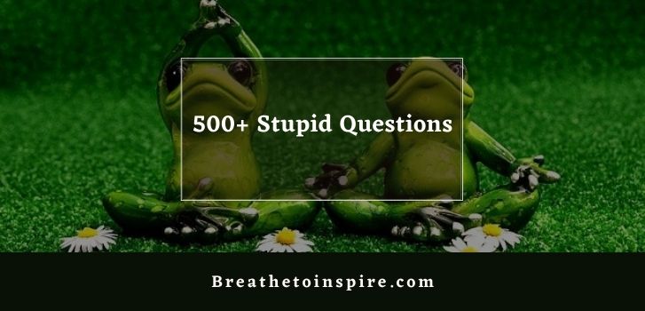 Stupid questions 500+ Stupid questions on different topics to ask (Funny, tricky, dumb, deep, random)