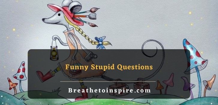 funny stupid questions 500+ Stupid questions on different topics to ask (Funny, tricky, dumb, deep, random)