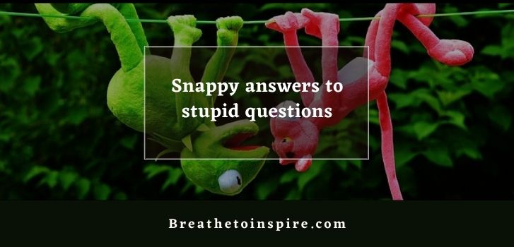 snappy answers to stupid questions 500+ Stupid questions on different topics to ask (Funny, tricky, dumb, deep, random)