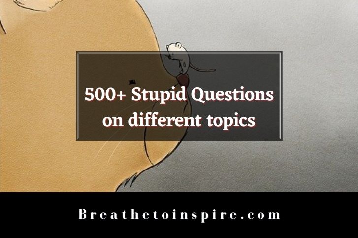 500+ Stupid Questions On Different Topics To Ask (Funny, Tricky, Dumb,  Deep, Random) - Breathe To Inspire