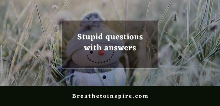 stupid questions with answers 500+ Stupid questions on different topics to ask (Funny, tricky, dumb, deep, random)