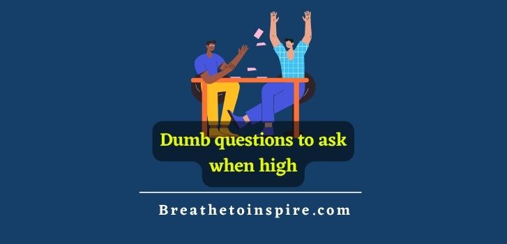 dumb-questions-to-ask-when-high