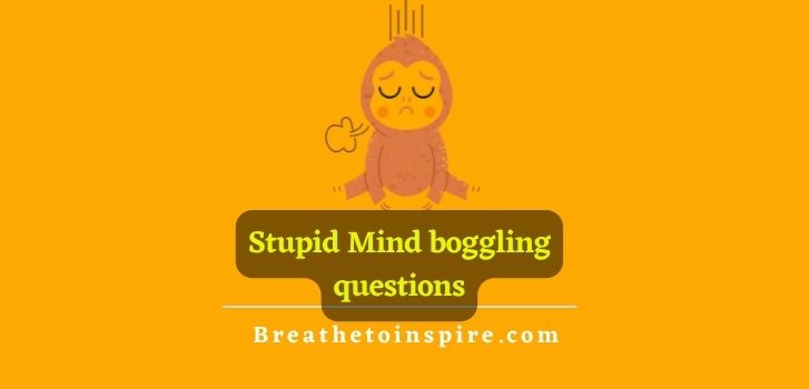 stupid-boggling-questions