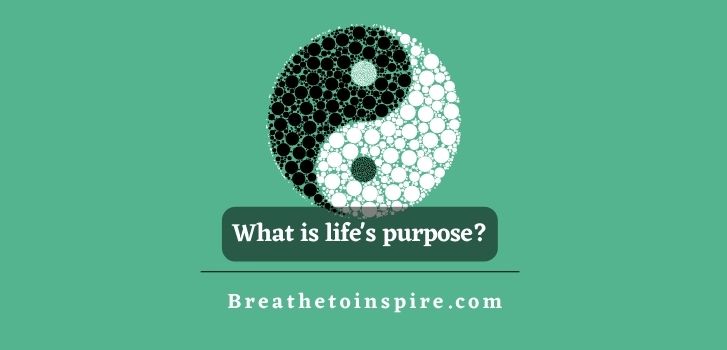 what-is-life-purpose