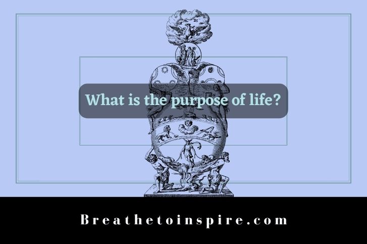 what-is-the-purpose-of-life