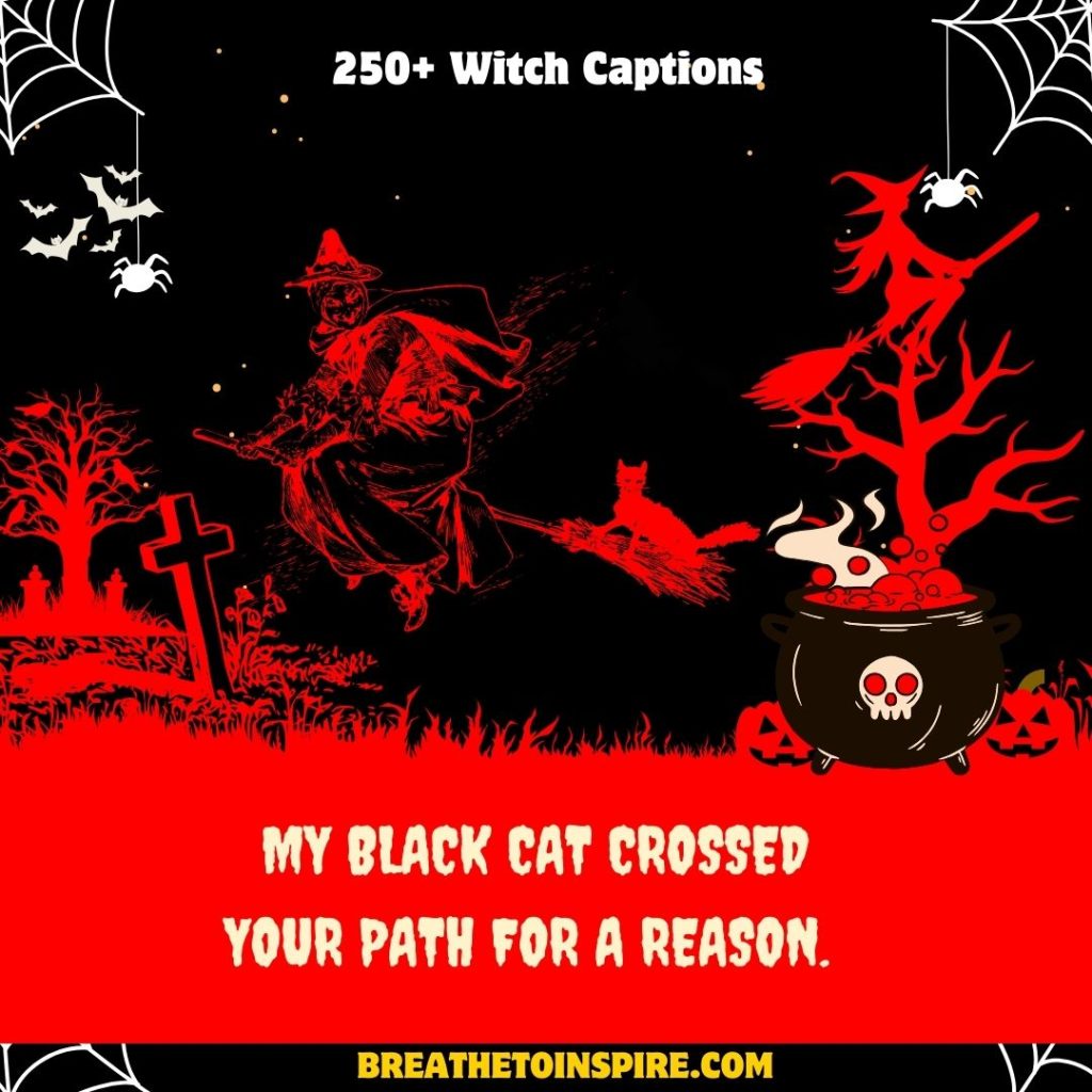 witch-captions-for-halloween