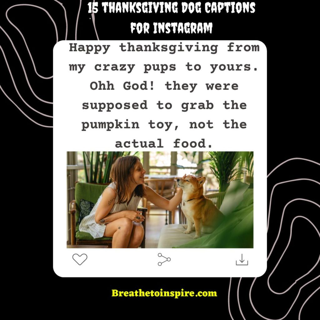 thanksgiving-dog-instagram-captions