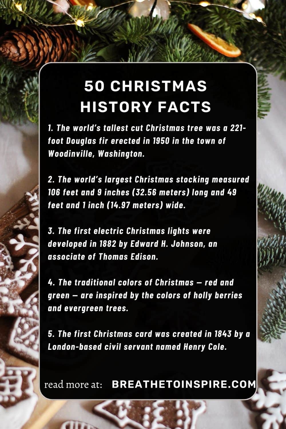 50 Christmas Facts About History, Fun Holiday Traditions All Around The