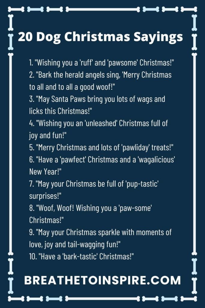 dog-christmas-sayings