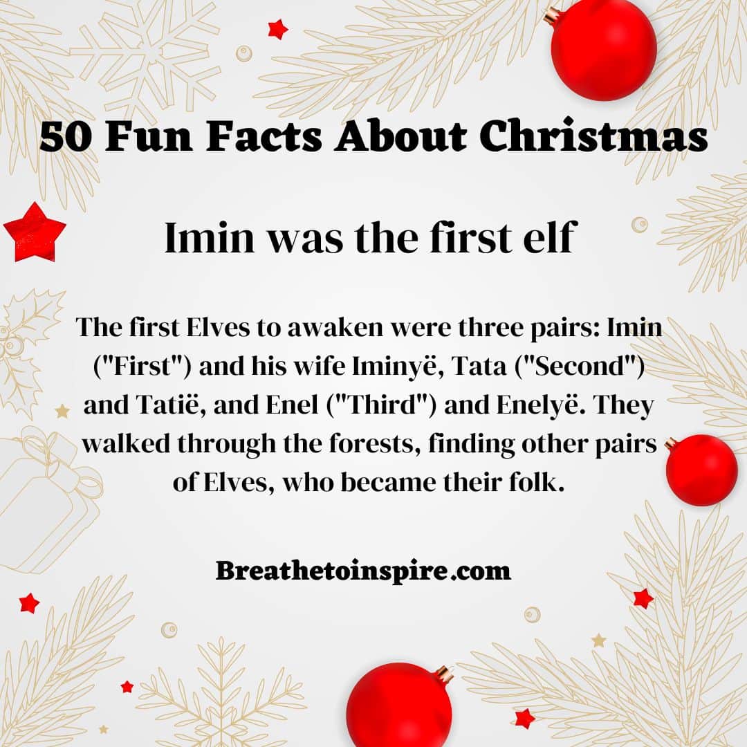 Fun Christmas Facts 