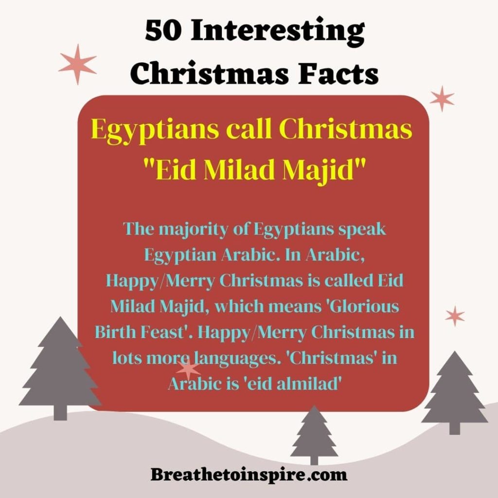 interesting-facts-about-christmas