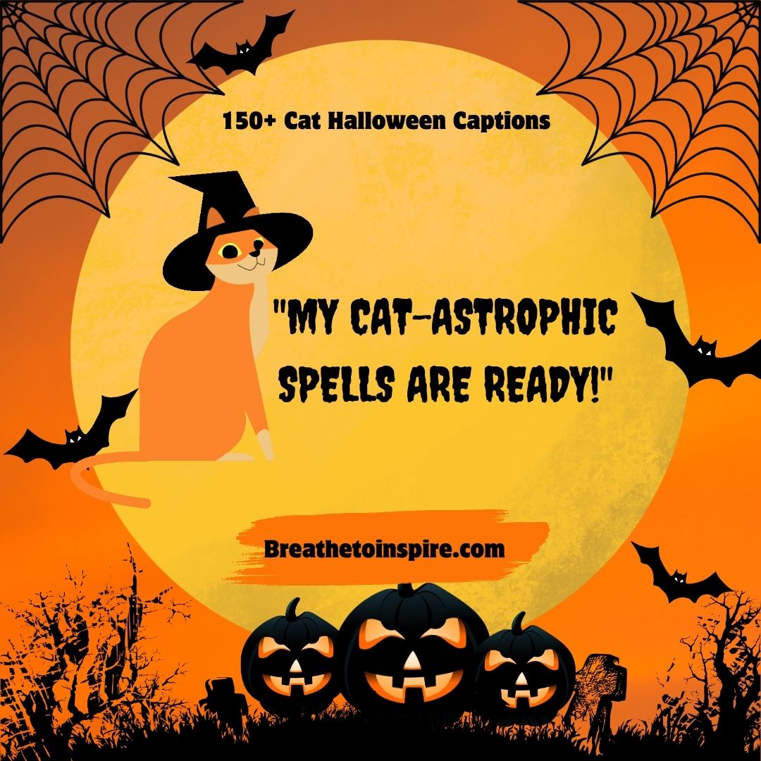 130+ Purrfect Cat Halloween Captions (from Black Cat To Witch Cat