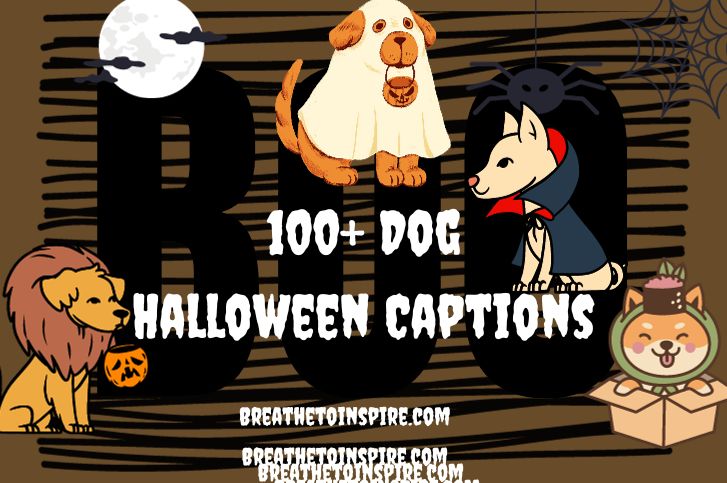 dog-halloween-captions