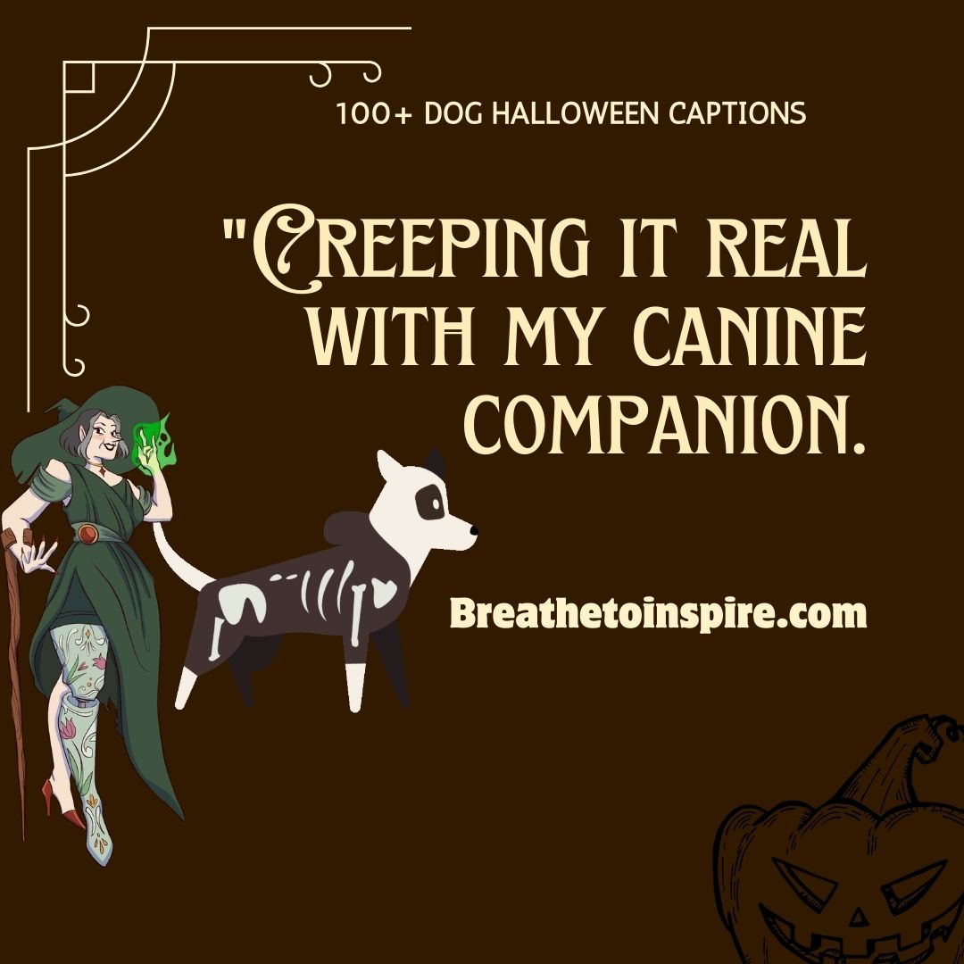 100+ Dog Halloween Captions (2023 Pet Edition) Breathe To Inspire