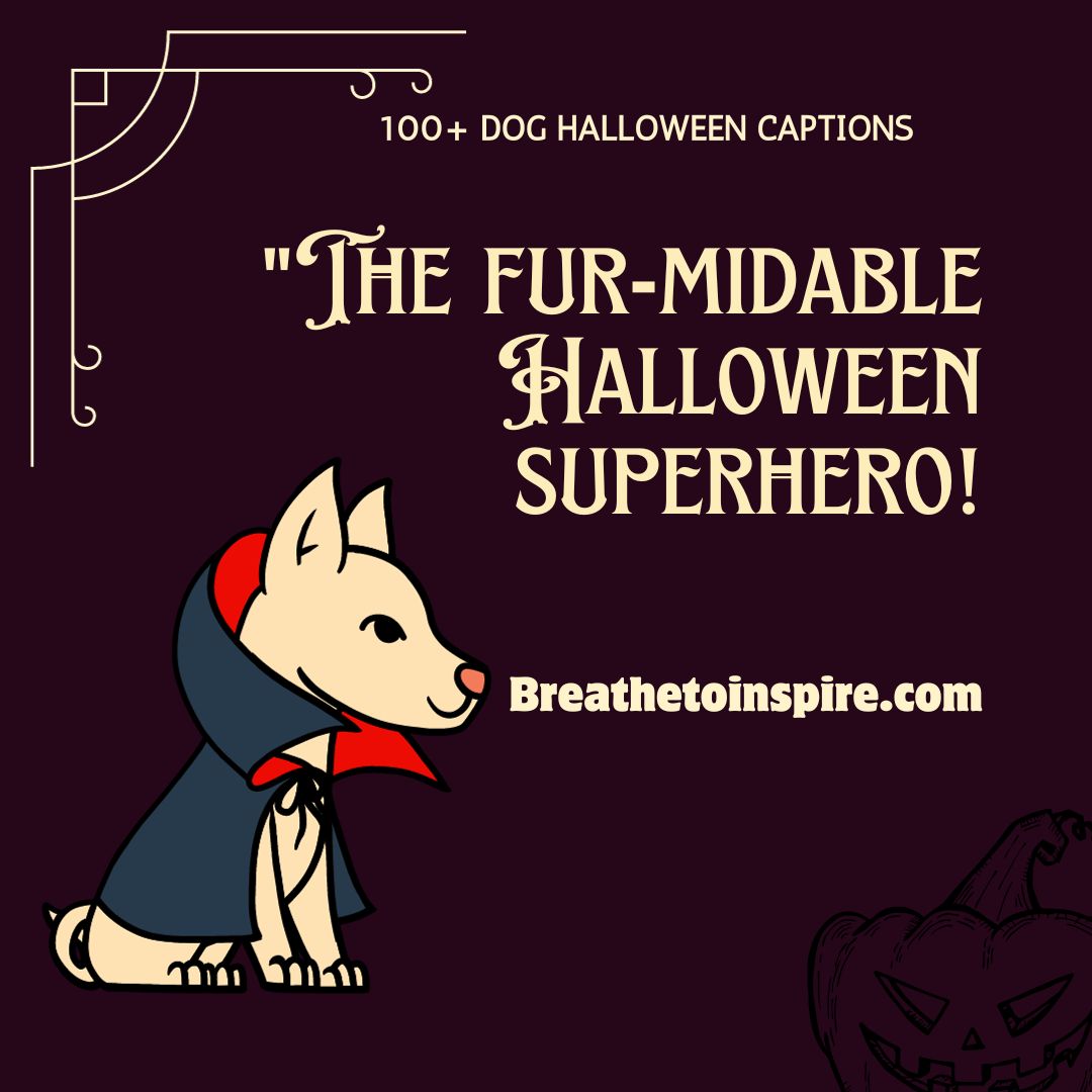 100-dog-halloween-captions-2023-pet-edition-breathe-to-inspire